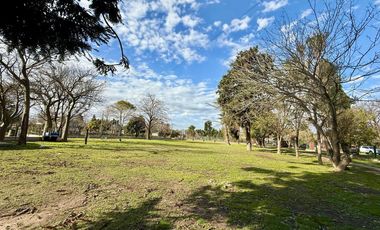 PROPIEDAD - LOCAL Y TERRENO EN PUEBLO ESTHER 3000M2