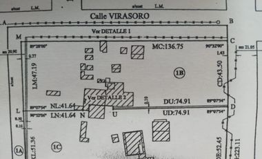 PROPIEDAD - LOCAL Y TERRENO EN PUEBLO ESTHER 3000M2