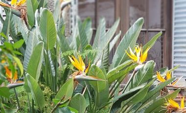 Casa en Lomas de Zamora Oeste