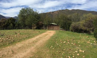 44 HECTAREAS EN COLLIGUAY, VENDO