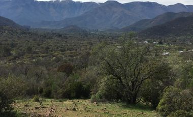 44 HECTAREAS EN COLLIGUAY, VENDO