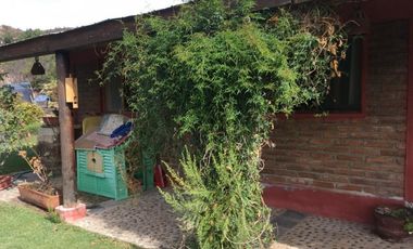 44 HECTAREAS EN COLLIGUAY, VENDO