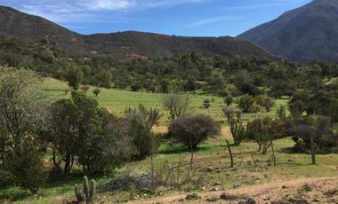 44 HECTAREAS EN COLLIGUAY, VENDO