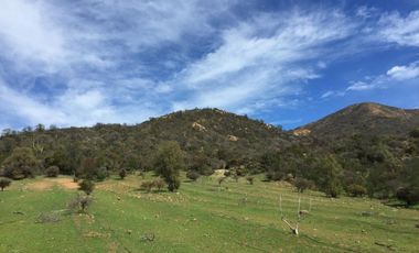 44 HECTAREAS EN COLLIGUAY, VENDO