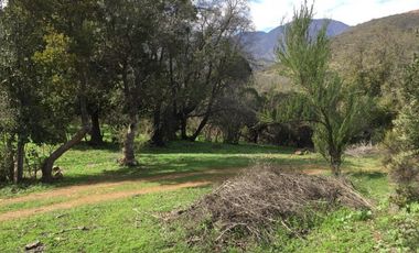 44 HECTAREAS EN COLLIGUAY, VENDO