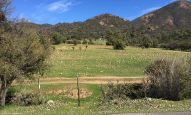 44 HECTAREAS EN COLLIGUAY, VENDO