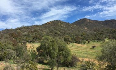 44 HECTAREAS EN COLLIGUAY, VENDO