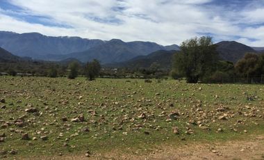 44 HECTAREAS EN COLLIGUAY, VENDO