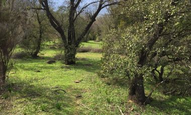 44 HECTAREAS EN COLLIGUAY, VENDO