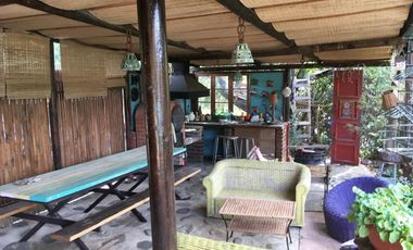 44 HECTAREAS EN COLLIGUAY, VENDO