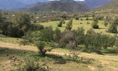 44 HECTAREAS EN COLLIGUAY, VENDO