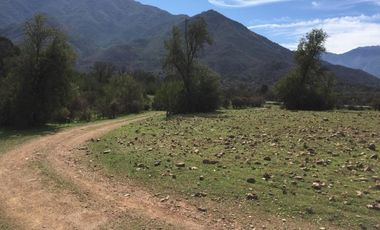 44 HECTAREAS EN COLLIGUAY, VENDO