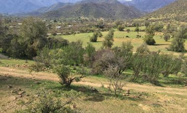 44 HECTAREAS EN COLLIGUAY, VENDO