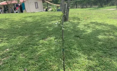 Terreno en renta en El Barrial, Santiago, Nuevo León