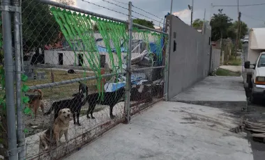 Terreno en venta en 31 de Diciembre, Guadalupe, Nuevo León