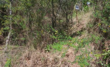 EXCELENTE OPORTUNIDAD - HERMOSOS SITIOS