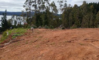 EXCELENTE OPORTUNIDAD - HERMOSOS SITIOS