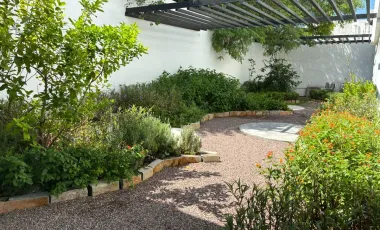 Edificio en renta en Centro, Monterrey, Nuevo León