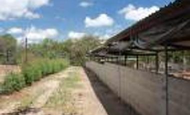 Venta Rancho en Estado de Mexico