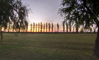 Terreno en Haras de Funes