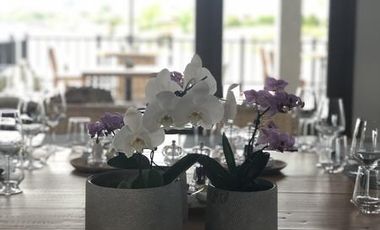 Depto PB con jardin al rio, 3 dormitorios y dependencia - Dos cocheras- con renta h/ 04/26