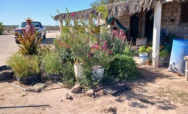 Terreno en Comondú