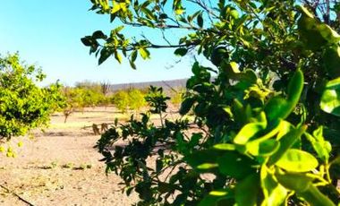 Rancho en VENTA, Rancho en Comondú ,BCS