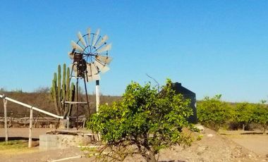 Rancho en VENTA, Rancho en Comondú ,BCS