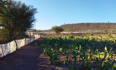 Rancho en VENTA, Rancho en Comondú ,BCS