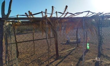 Rancho en VENTA, Rancho en Comondú ,BCS