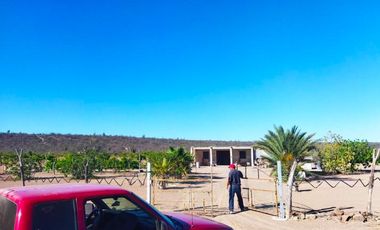 Rancho en VENTA, Rancho en Comondú ,BCS