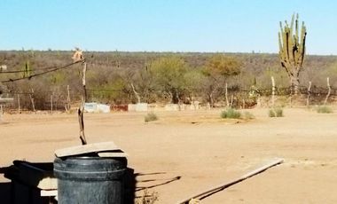 Rancho en VENTA, Rancho en Comondú ,BCS