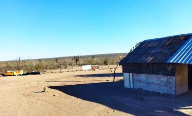 Rancho en VENTA, Rancho en Comondú ,BCS