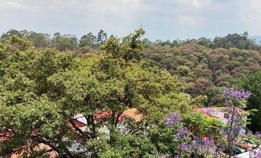 RENTA DE CASA EN JOYA, RAQUEL BANDA FARFÁN