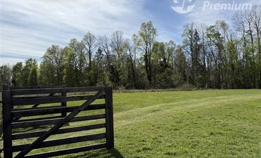 Casa en Venta en Lote 7 c Sector Mangue Pitrufquen