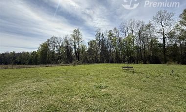 Casa en Venta en Lote 7 c Sector Mangue Pitrufquen