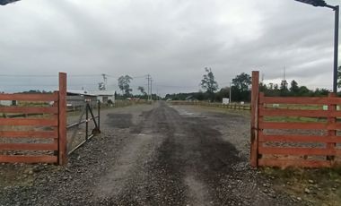Parcela en Puerto Octay