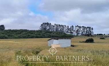 Parcela con proyección de plusvalía <<Hacienda Los Mañíos>> Los Muermos