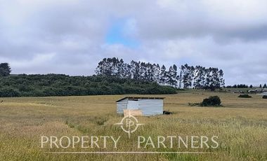 Parcela con proyección de plusvalía <<Hacienda Los Mañíos>> Los Muermos