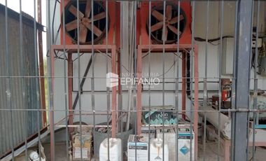 Venta - Dos cámaras de frio zona Cervantes - A008