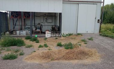 Venta - Dos cámaras de frio zona Cervantes - A008