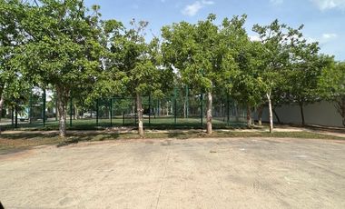 Casa(27) en Renta en Privada Residencial Olivos en Conkal