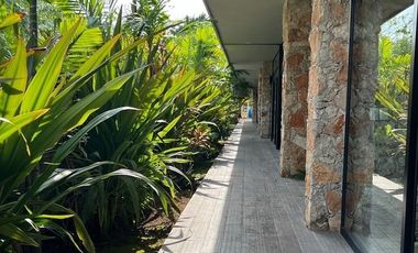 Casa(27) en Renta en Privada Residencial Olivos en Conkal