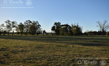 Chacra en venta 39 has Florencio Varela