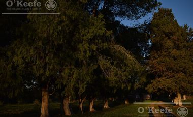 Chacra en venta 39 has Florencio Varela