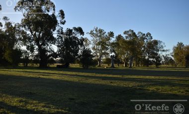 Chacra en venta 39 has Florencio Varela