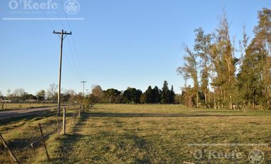 Chacra en venta 39 has Florencio Varela