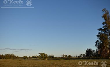 Chacra en venta 39 has Florencio Varela