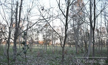 Chacra en venta 39 has Florencio Varela