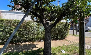 Terreno - Carapachay